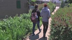Residents Call for More Lighting in Wake of Sex Assault