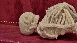 Exhibit Examines Death, Dying