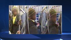 Teen Charged With Groping Girls on Red Line