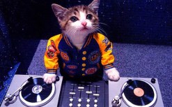 I Can Has DJ Hero