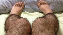Hairy Stockings Designed to Fend Off Perverts