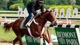 Measuring the Payoffs of a Triple Crown