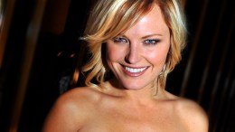 Malin Akerman Would Love to Go From Linda Lovelace to Lois Lane