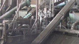 Weekend Web: Cows Create Alternative Fuel