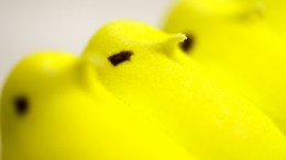A Peek at Peeps