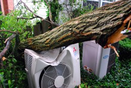 Dual Tornadoes Confirmed in Tuesday Storms