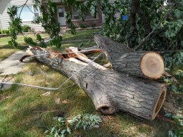Full Coverage: July 11 Severe Weather