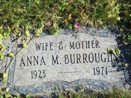Sheriff Launches Searchable Burr Oak Site