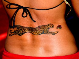 Celebrity Ink: Who Bares The Most?