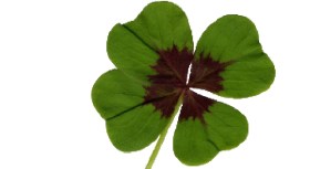 No Luck O' the Irish at O'Hare