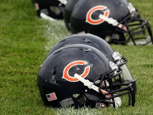 Bear Bites: Newest Bear Is a Nice Guy
