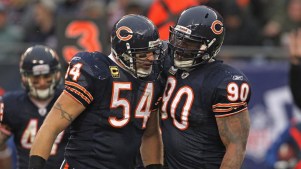 5 Bears Who Could Win in the Octagon