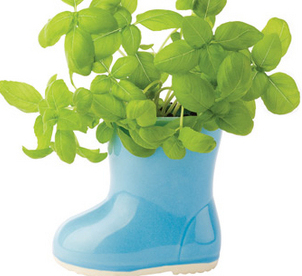 Mini Rainboot Garden