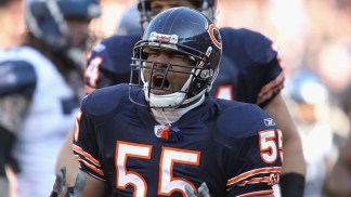 Briggs a Bear for Life