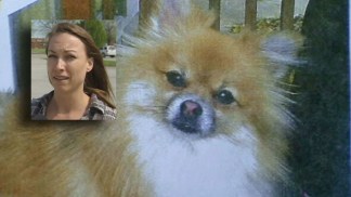 Dog Owner Describes Mauling