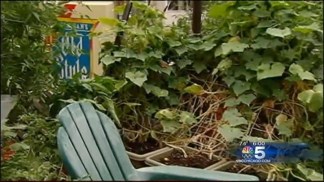 Woman Attacked With Hammer Recovers
