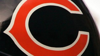 The Bears 19 Newest Members