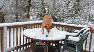 Your Photos: Snowy Weather