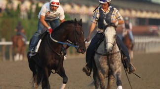 Casino Expansion Would be Boon to Illinois Horse Racing