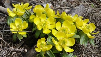 March Weather Photos