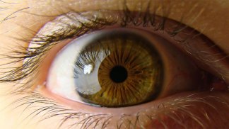 Surgery Could Restore Woman's Sight