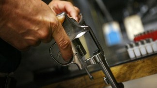Court Invalidates Illinois Gun Laws