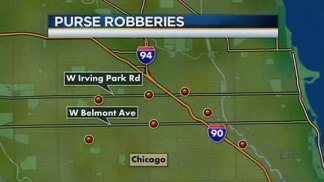 Purse-Snatcher on the Loose: Cops