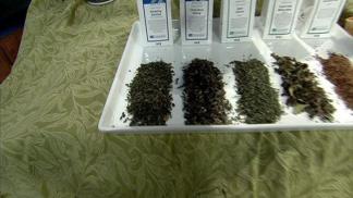 Tea Tips