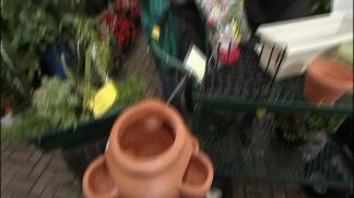 How to Grow Your Own Herbs