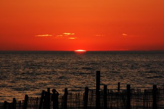 PHOTOS: Summer in the City