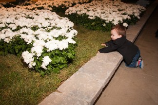 Sun Shines on Chicago Flower & Garden Show Benefit