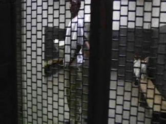 Cook  County Jail a Treasure Trove of Information