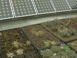 Chicago Home Goes Green To The Max