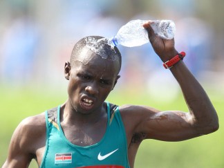 Chicago Marathon by the Numbers