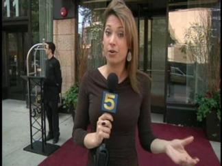 Chicago's Green Hotels