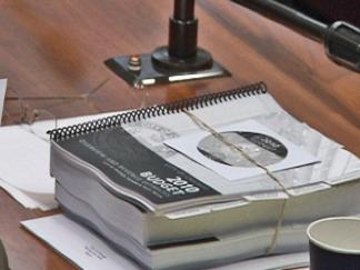 Council OKs City Budget