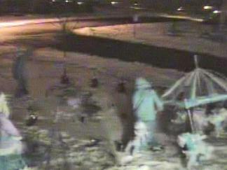 Surveillance Cameras Record Grinchy Vandals