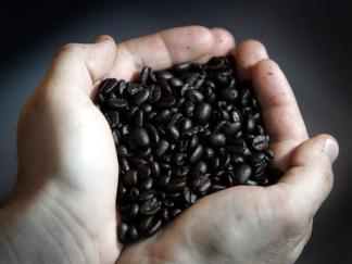 Have a "Green" Cup of Coffee