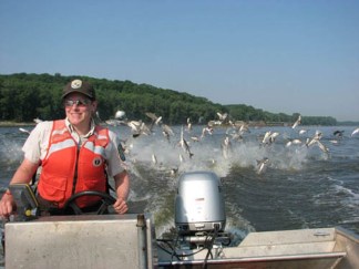 Carp "Basically Living Missiles"