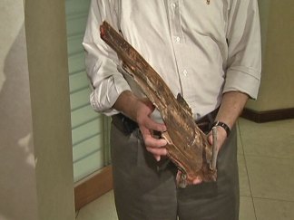 Woman Impaled by Tree Branch