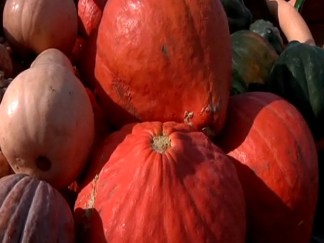 Quick Tips for Locally-Grown Food