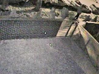 Surveillance Video Shows Shooter Pulling Gun