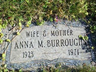 Sheriff Launches Searchable Burr Oak Site