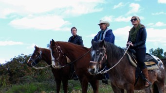 Horseback Riding on the Perfect Date