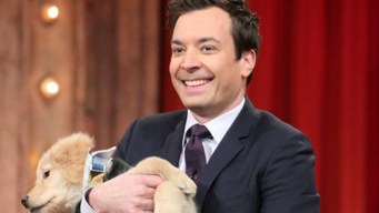 Puppies Pick Oscars' Best Picture Winner