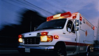 Woman Injured By Lolla Gate Crashers