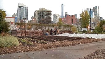 Urban Farm Growing Opportunities for Those in Poverty