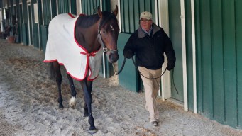 Orb Trainer: Derby Worth the Wait