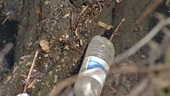 Officials Commit $10M to Clean Up Chicago River