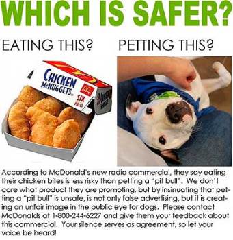 McDonald's Radio Ad Angers Frothing Dog Owners